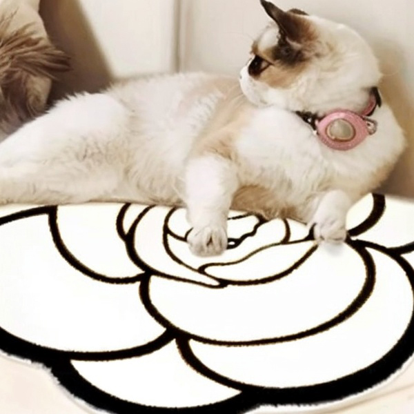 Фото товара: