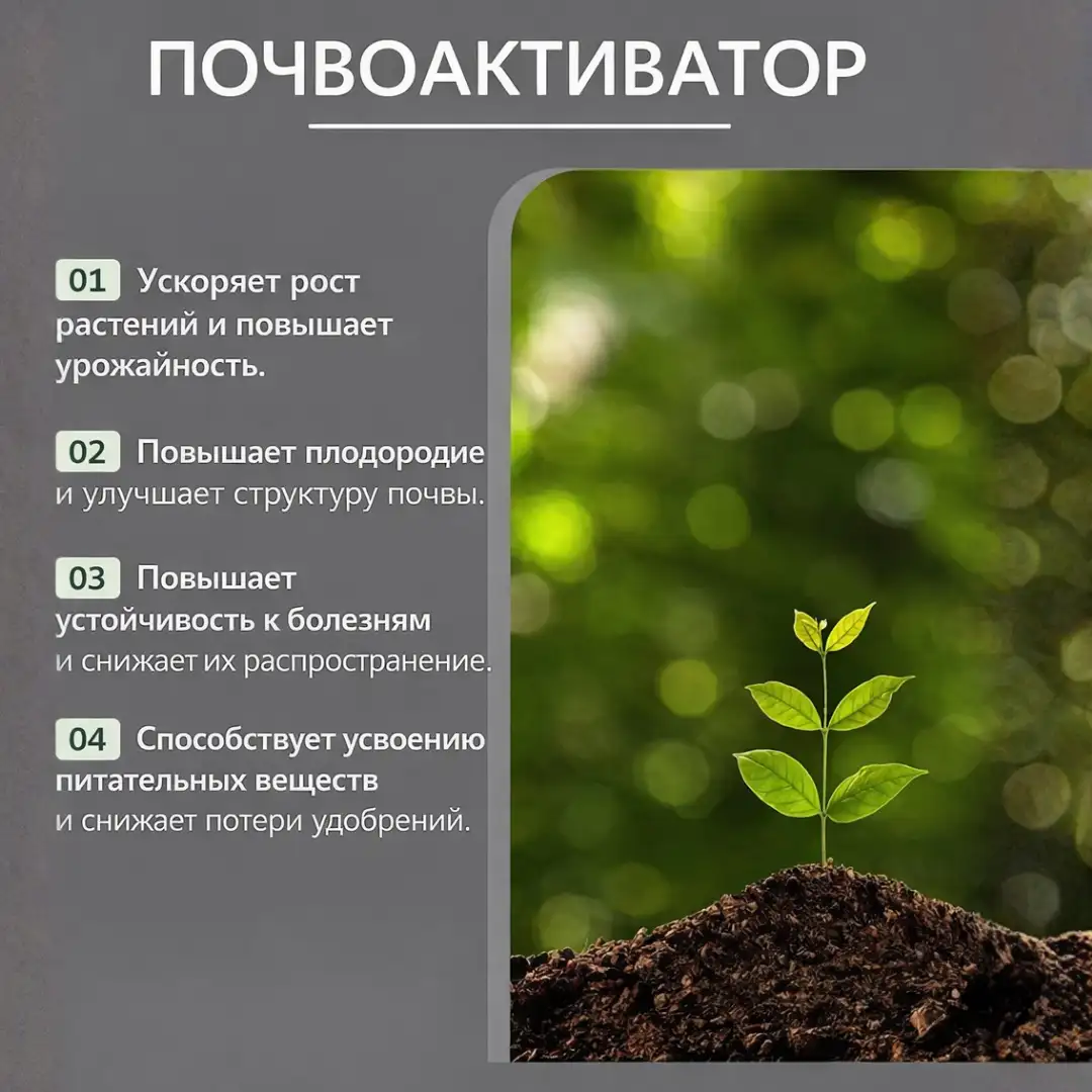 Здоровая почва — богатый урожай