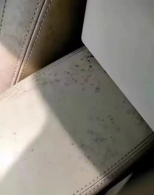 Фото товара: