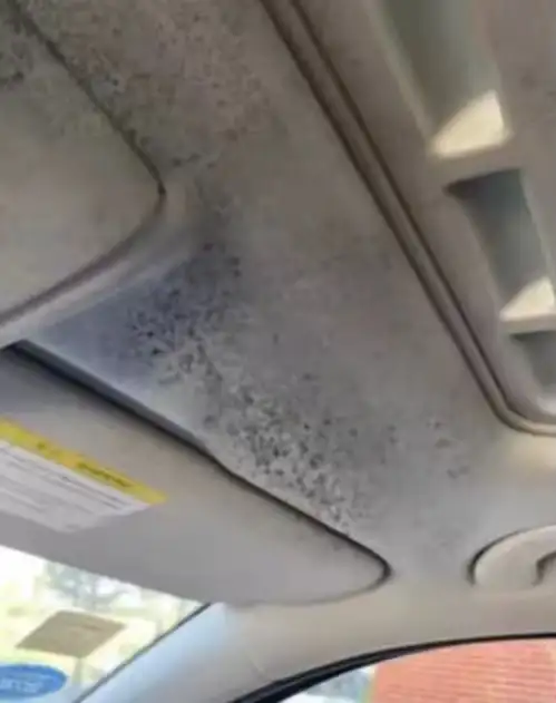 Фото товара: