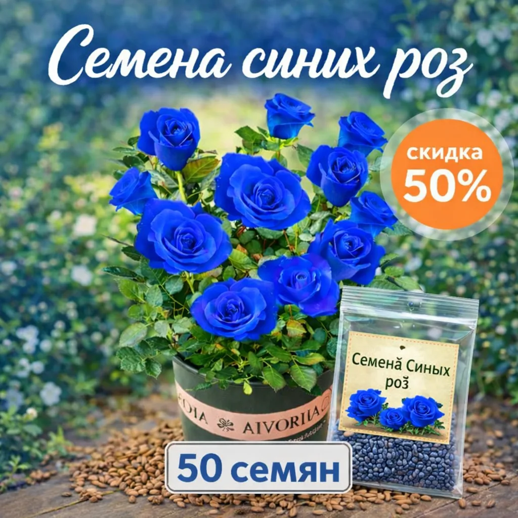 Семена синих роз 50 семян для выращивания красивых декоративных цветов