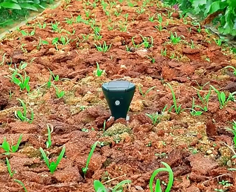 Фото товара: