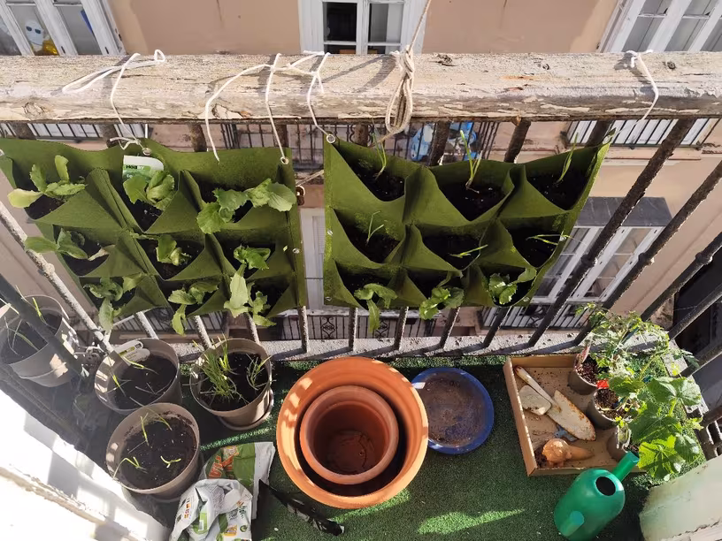 Фото товара: