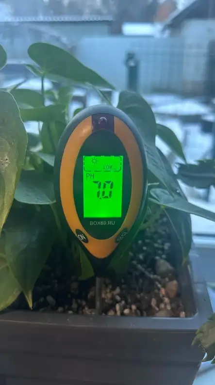 Фото товара: