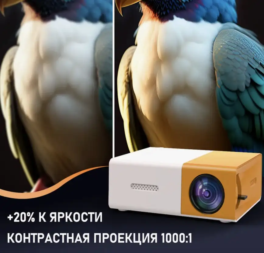 Яркое изображение с глубоким контрастом