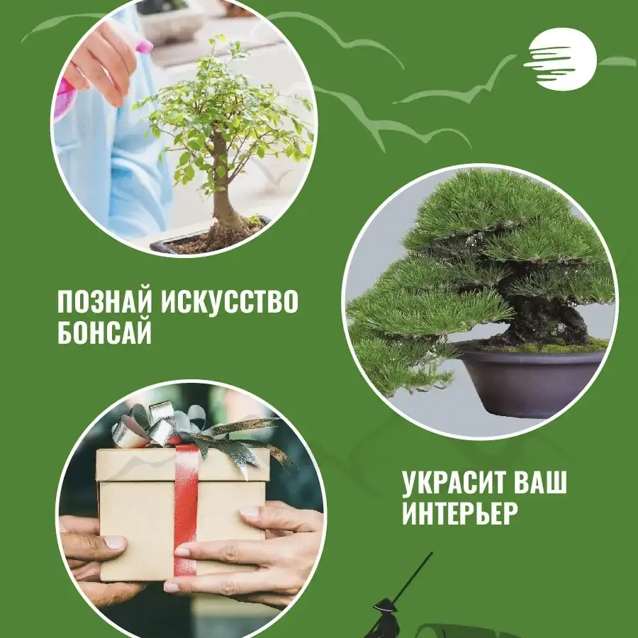 Простота использования