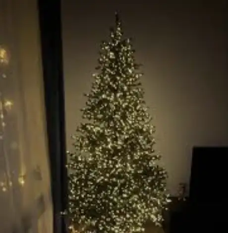 Фото товара: 0