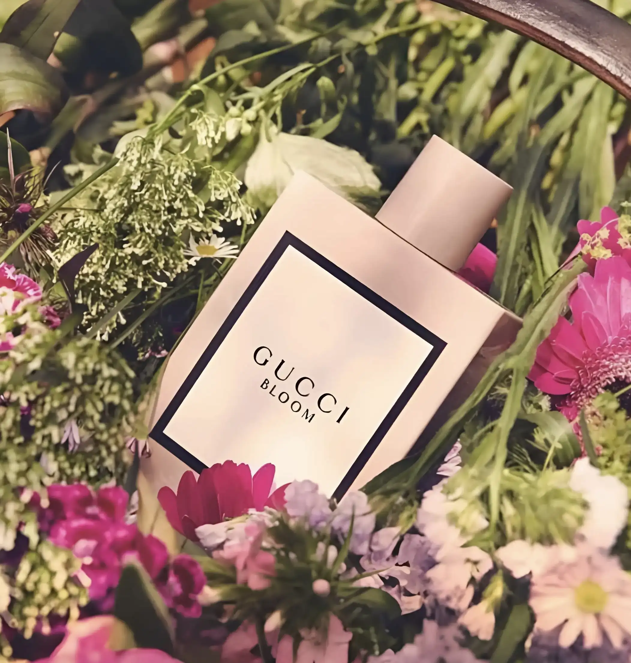 GUCCI BLOOM 100ml 
