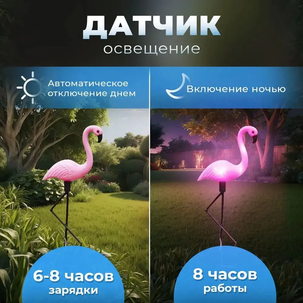 Яркие и красивые